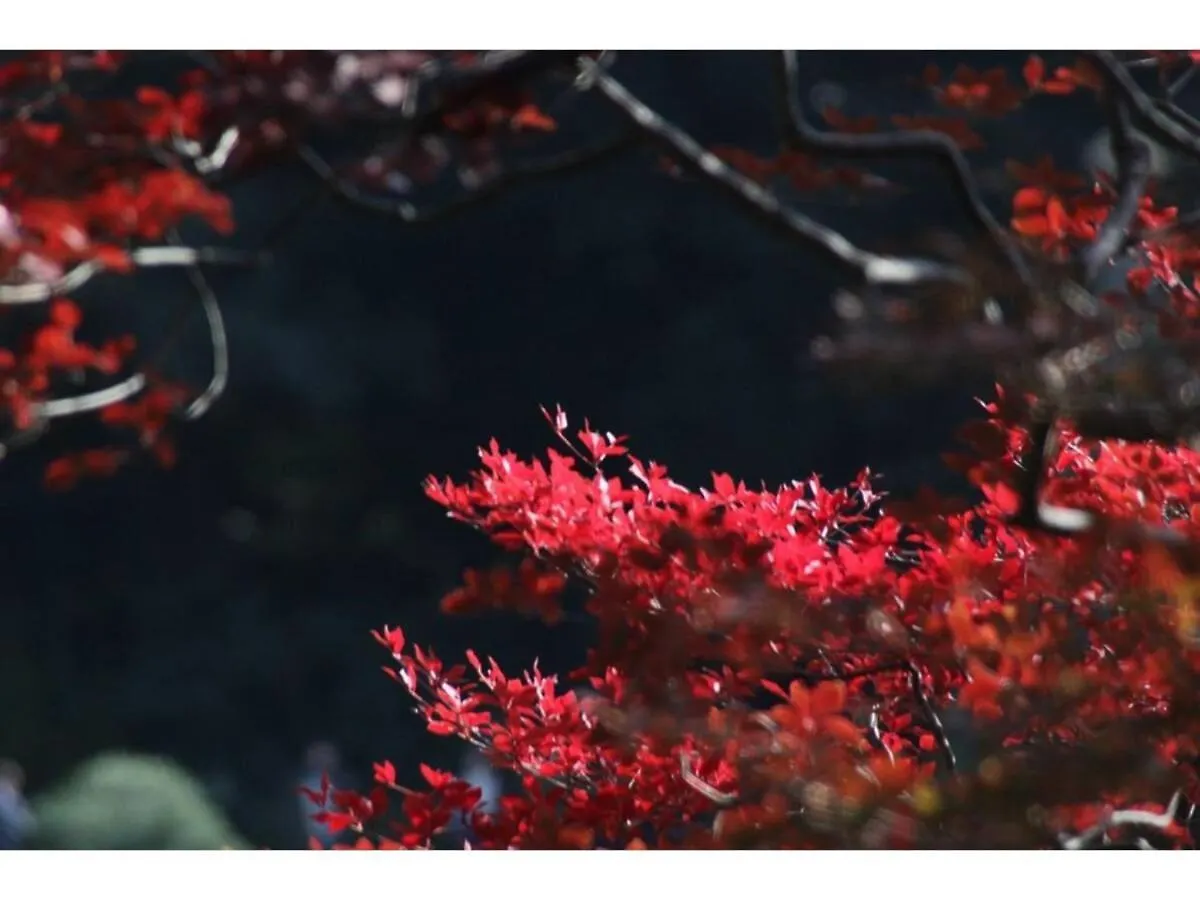 Tora Hotel Rikugien - Vacation Stay 52741V Tokyo